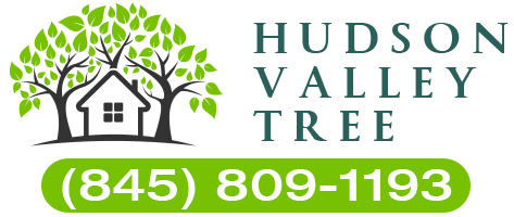 Hudson Valley Tree